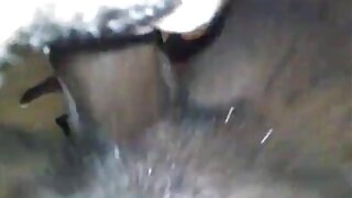 سکس سکس خاله الکسیس عمیق گلو با تاپنگای زیبا از 18 VideoZ